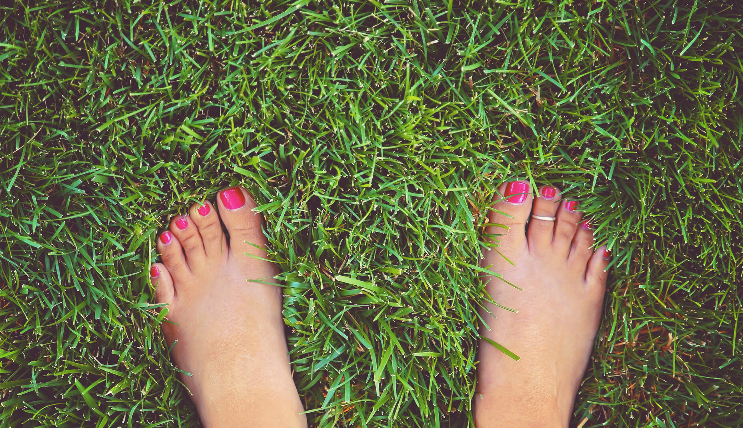 Bare feet standing in grass.jpg