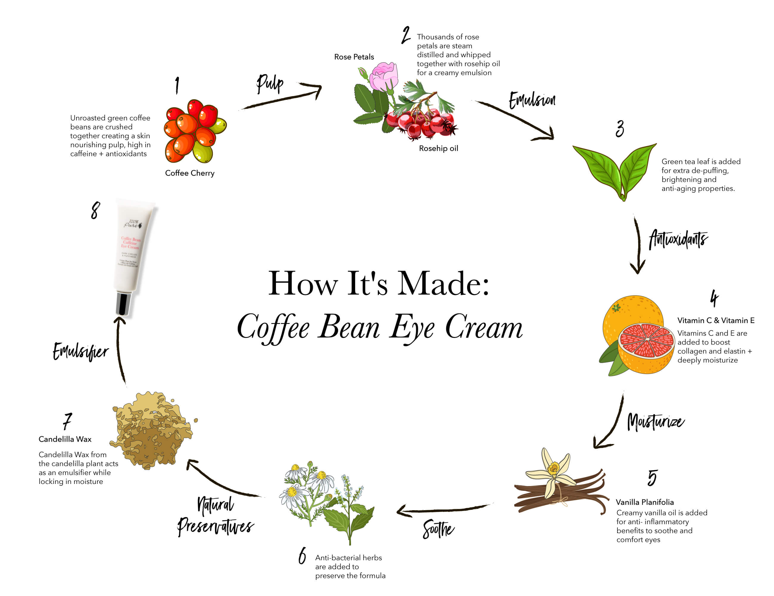 how it's made coffee bean eye cream (1).jpg