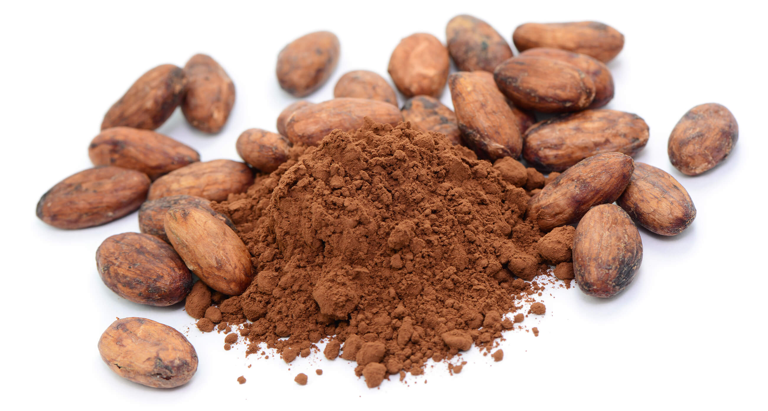 cocoa bean powder