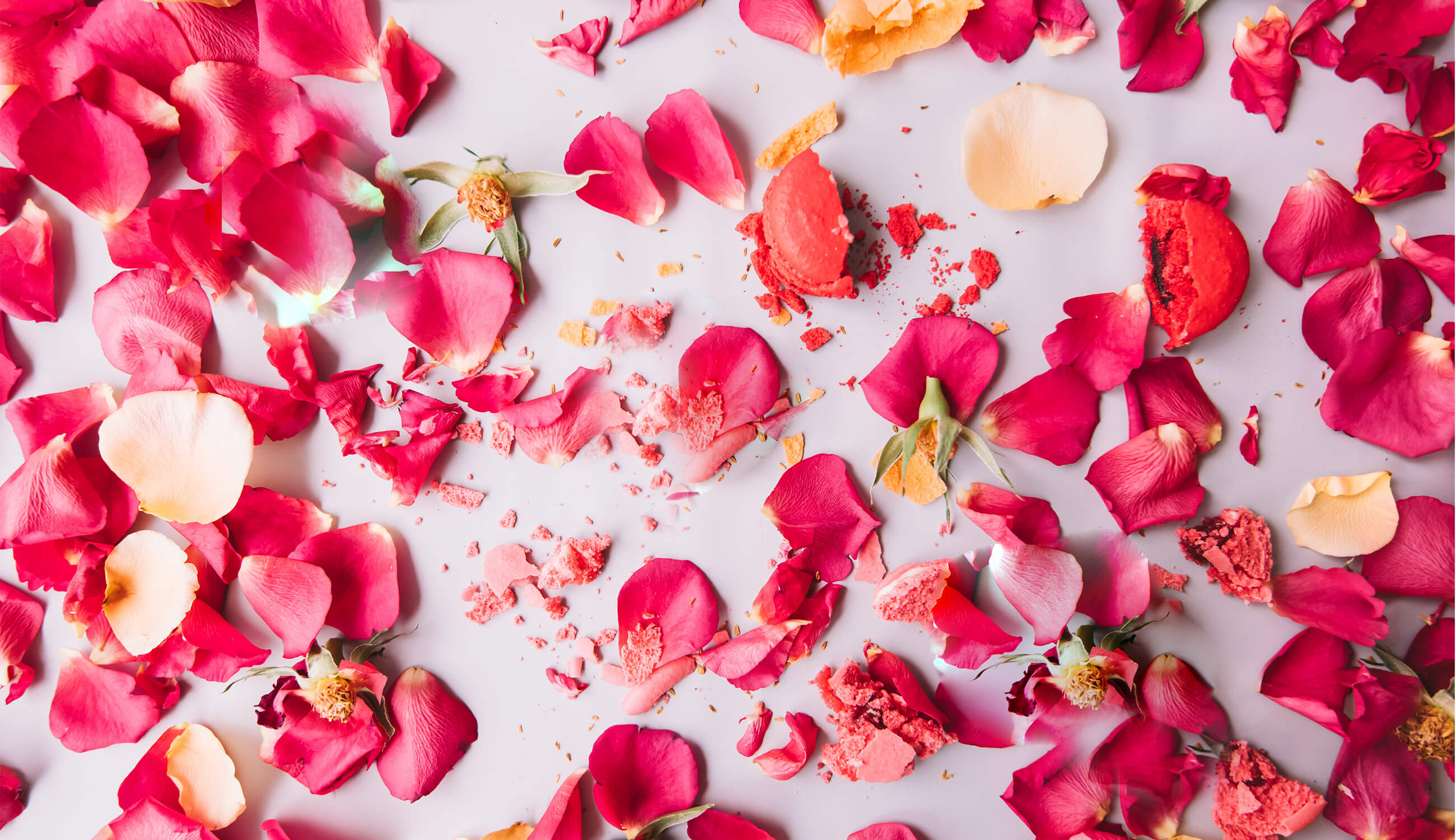 Crushed rose petals.jpg