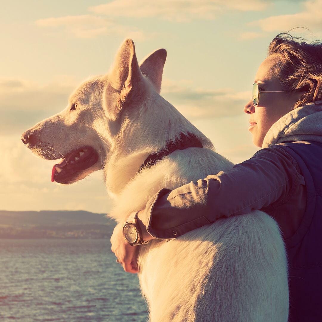 Image of Dog and Human