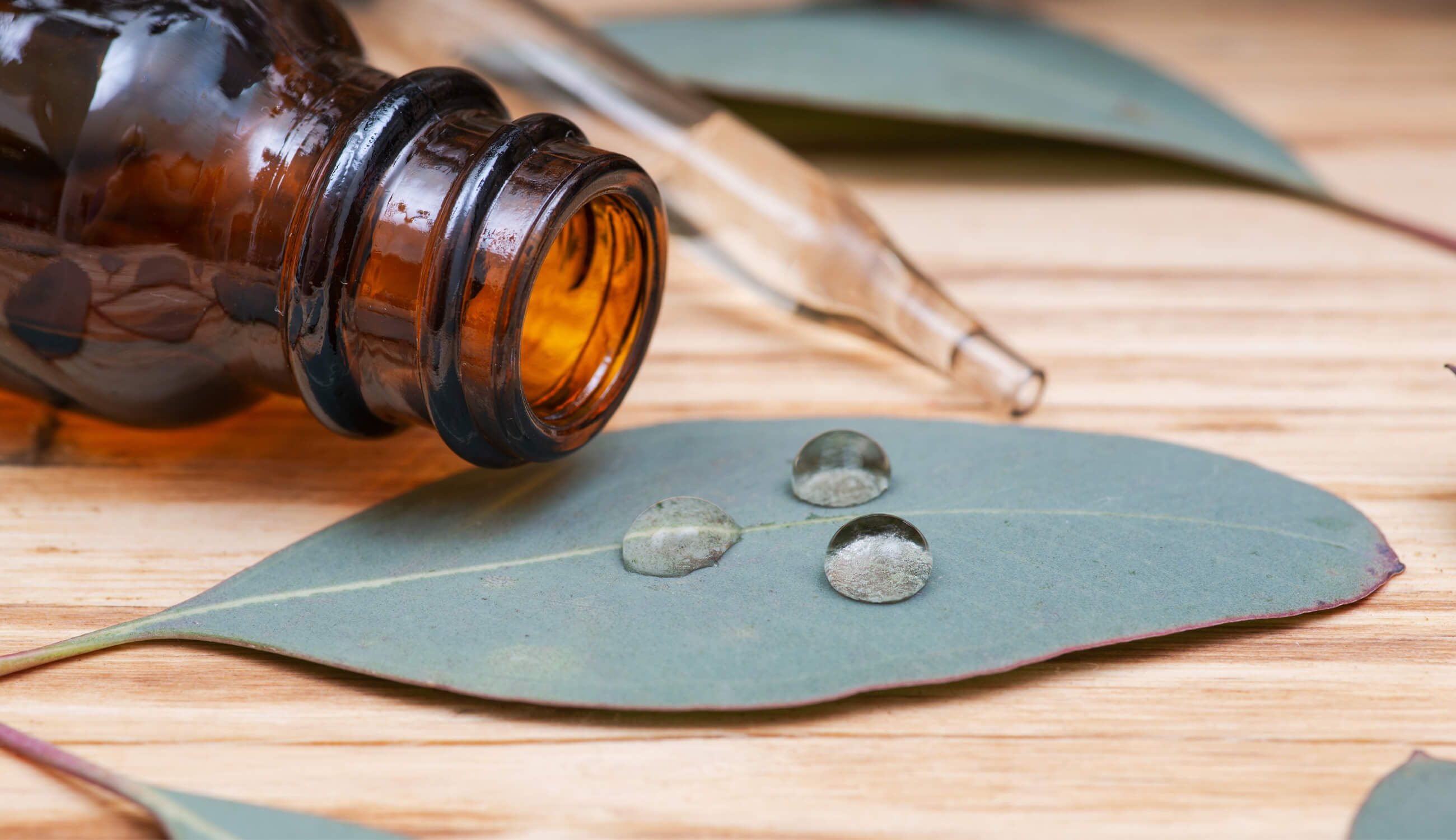 Eucalyptus oil