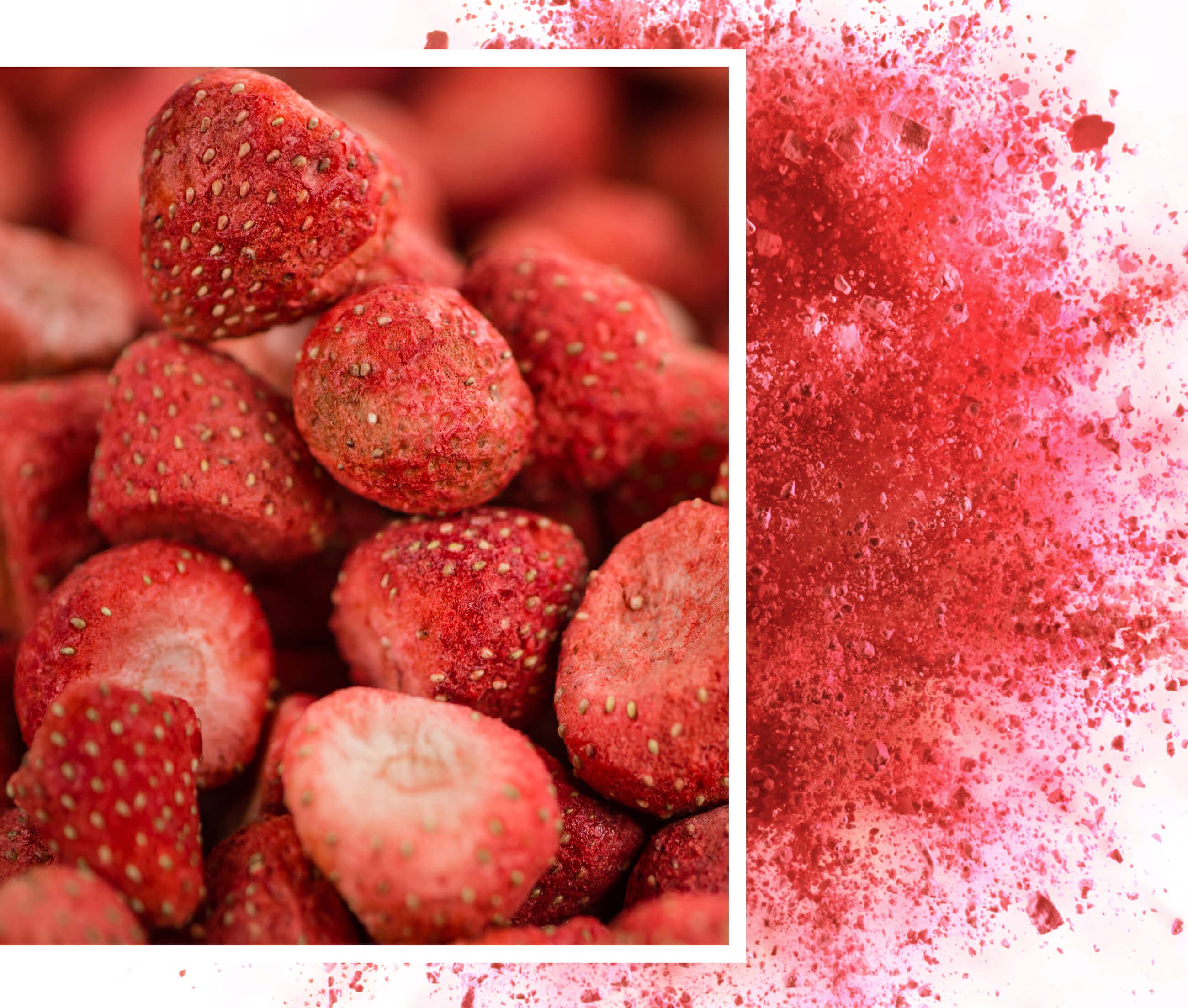 Freeze dried strawberries