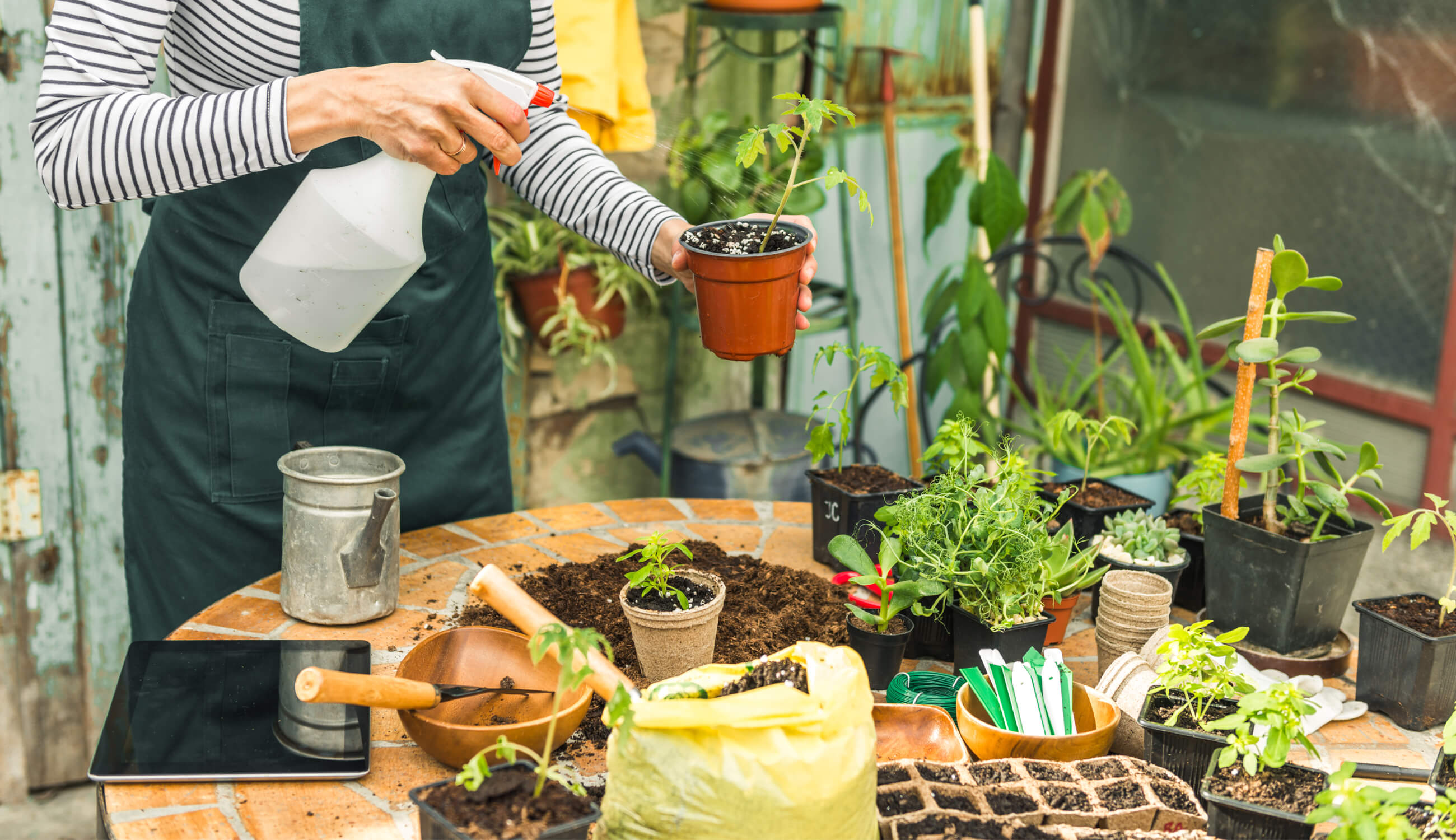 Herb garden