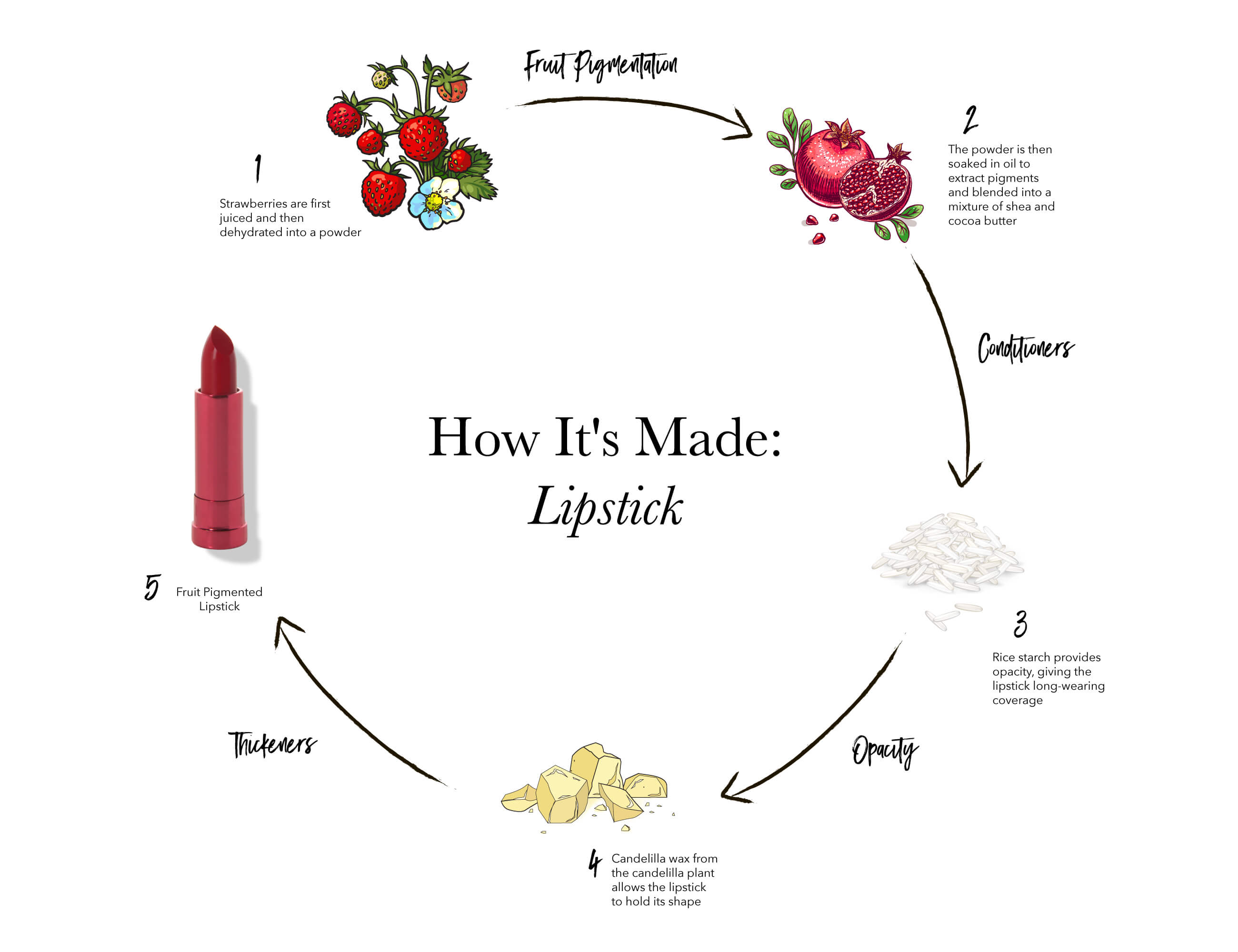 how to make natural lipstick diagram