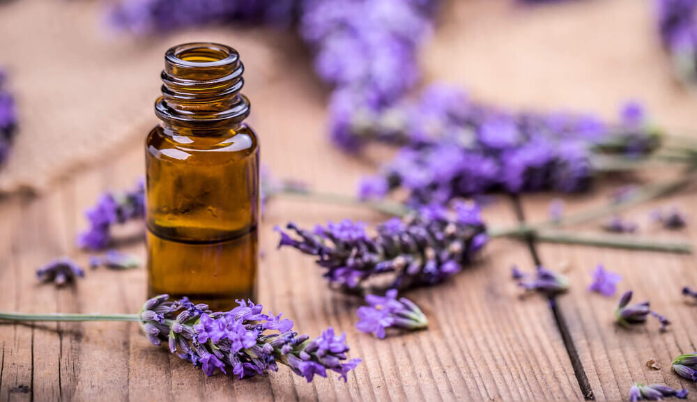 Aceite esencial de lavanda para cicatrices
