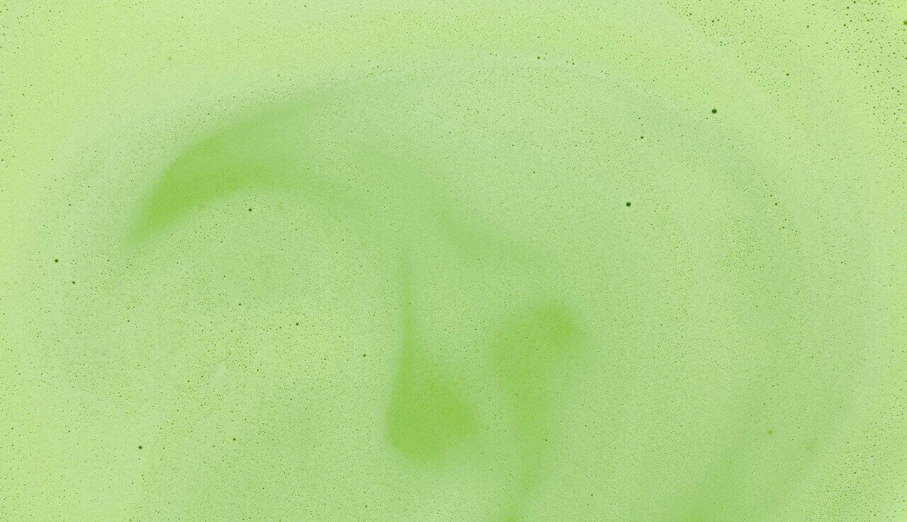 Matcha milk texture.jpg