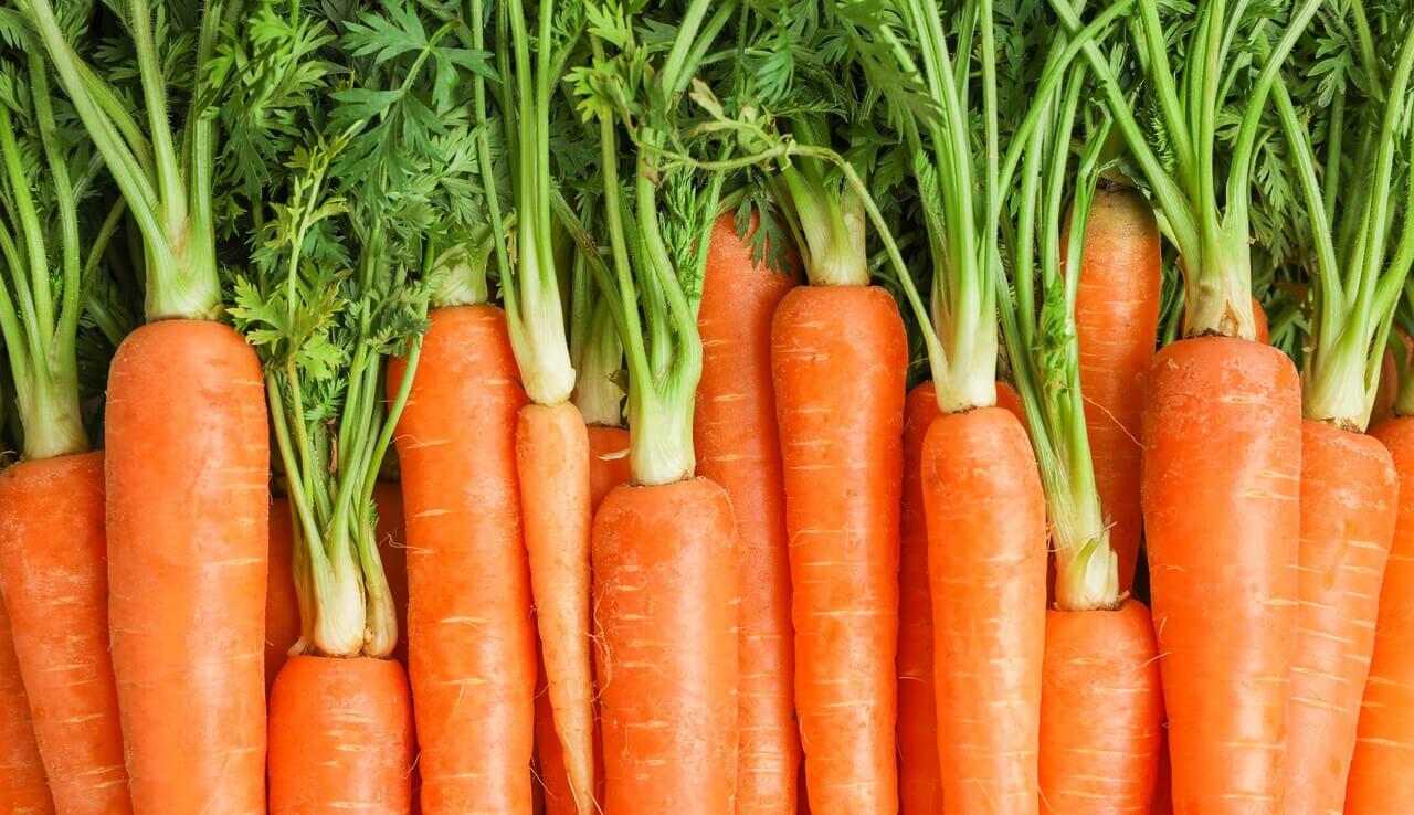 carrots.jpg