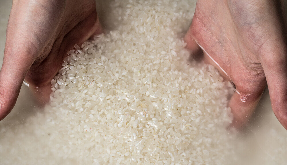 main_rice water.jpg