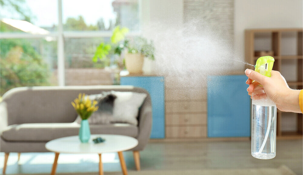 Main_woman spraying room mist.jpg