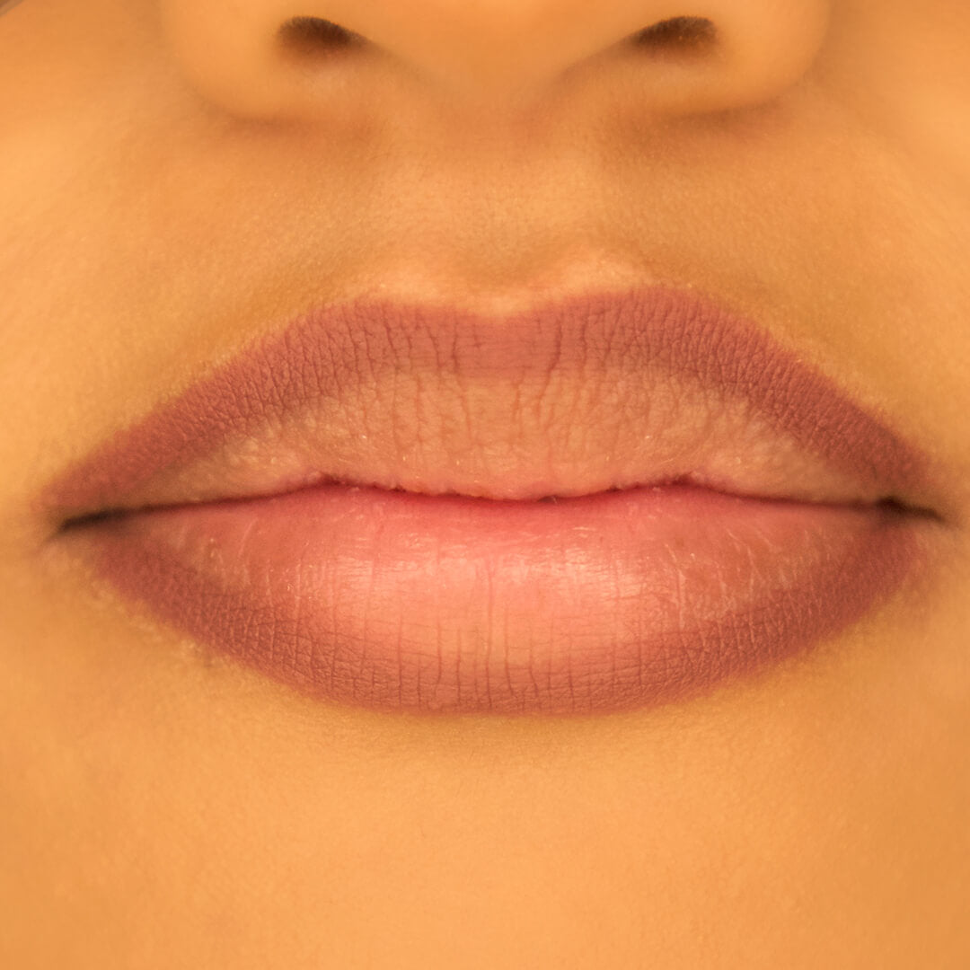 100% PURE Creamy Long Last Lip Liner: Chai look
