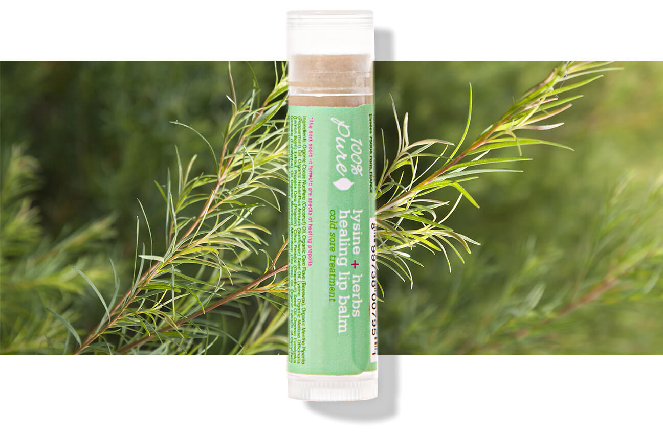 100% PURE Lysine + Herbs Lip Balm