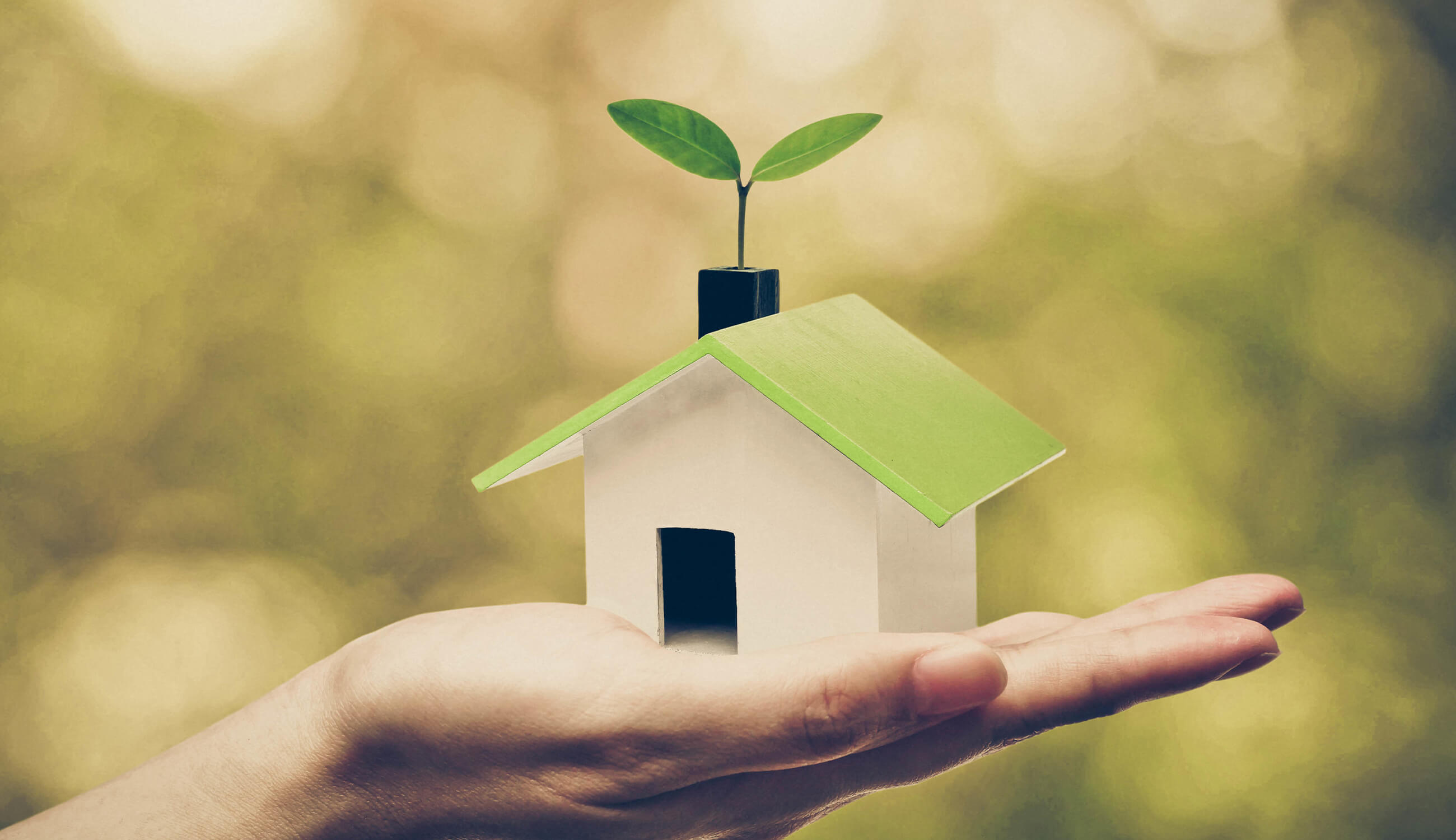 Main_hand holding a small green house