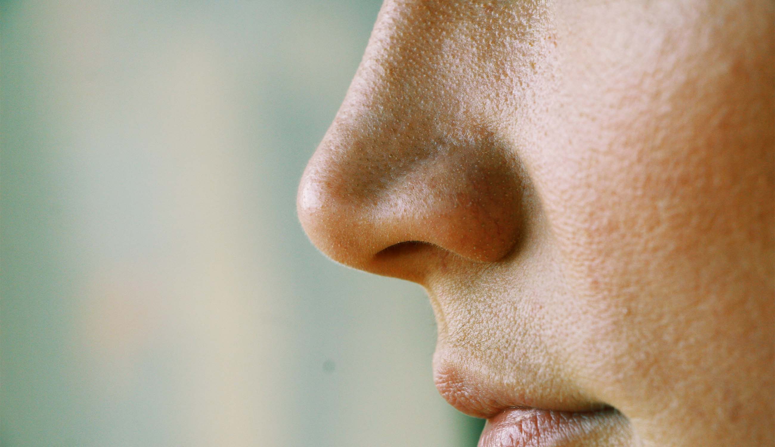 BP_nose with pores