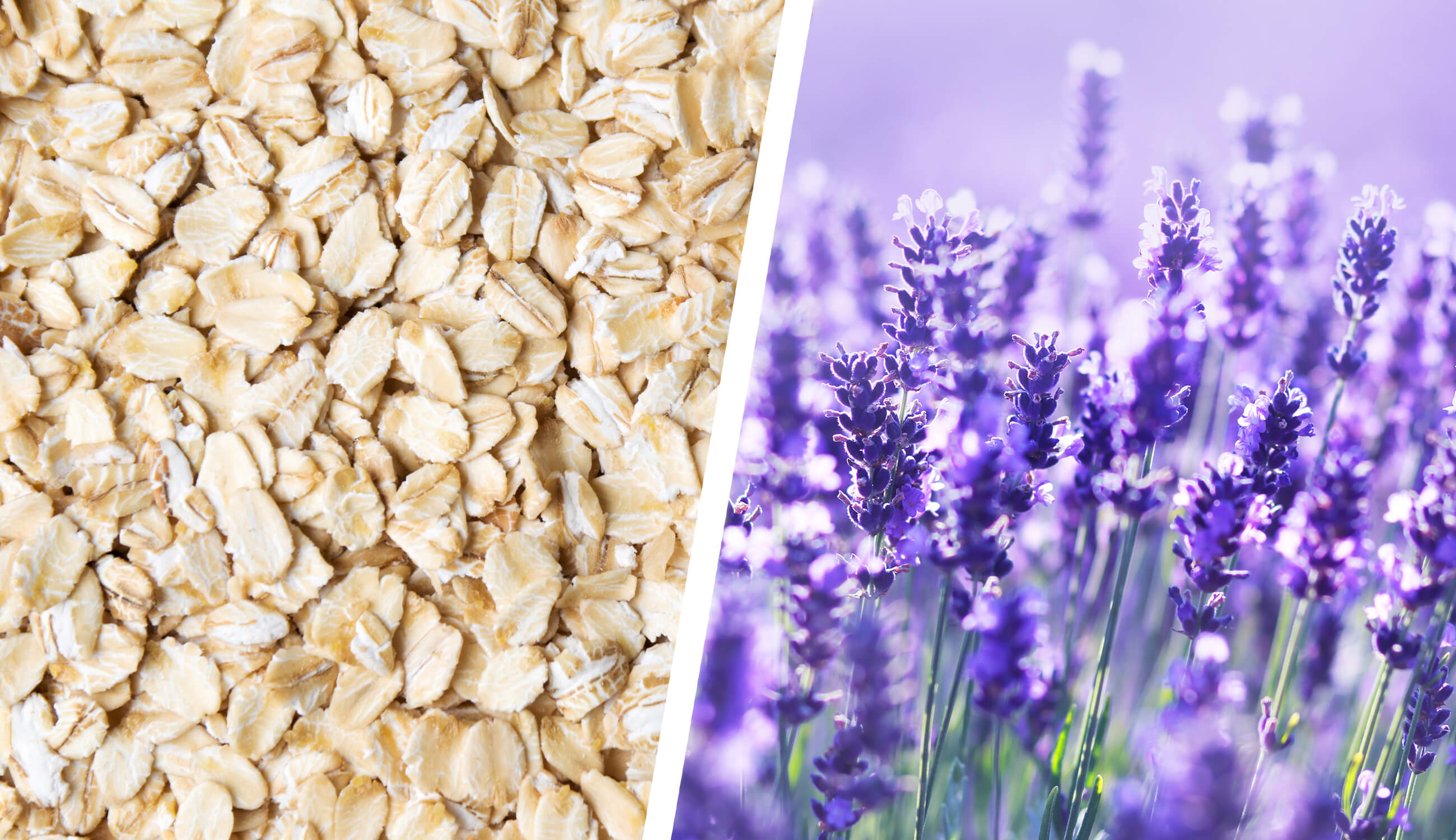 Oat meal lavender