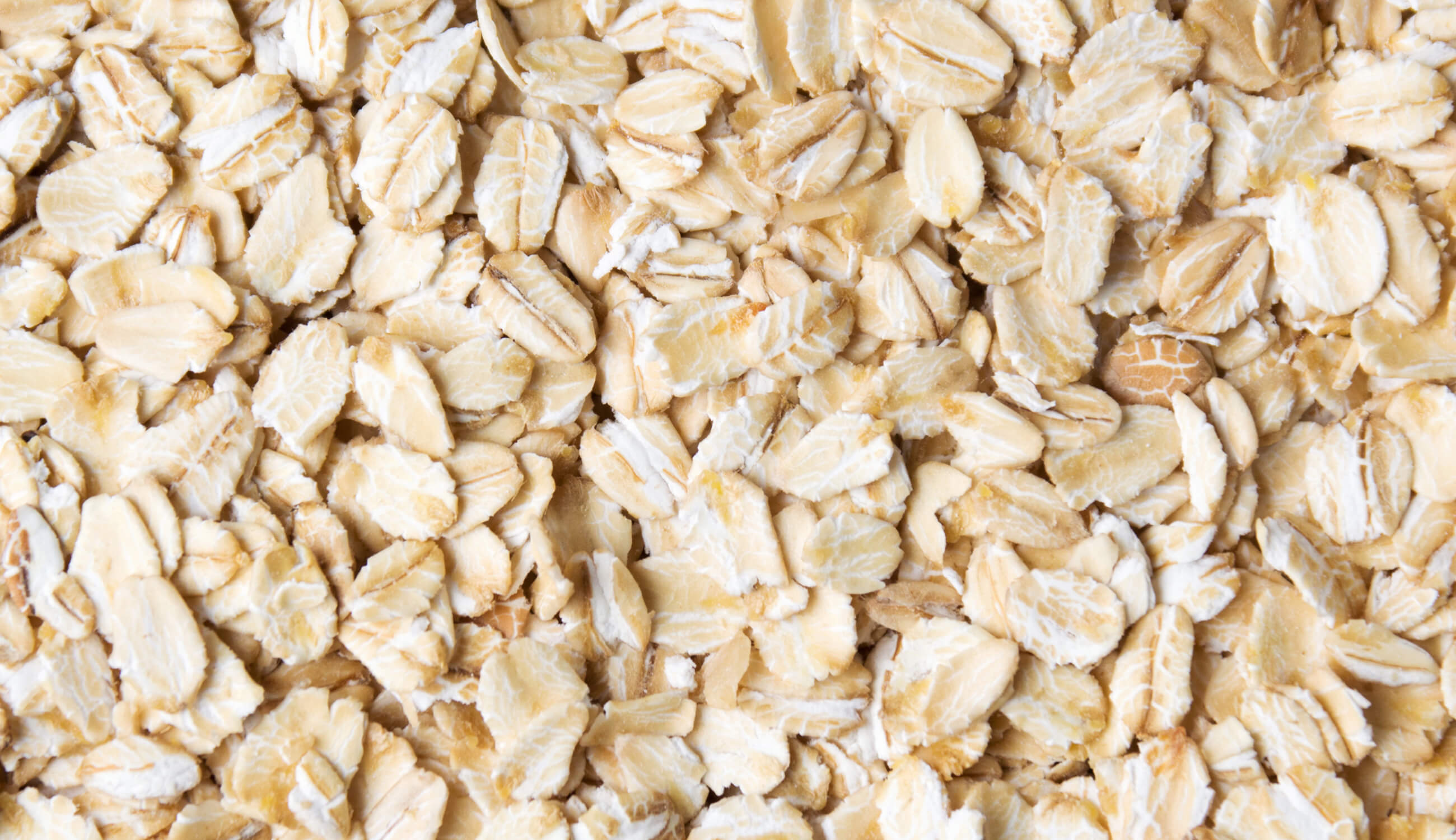 Oat Meal Texture