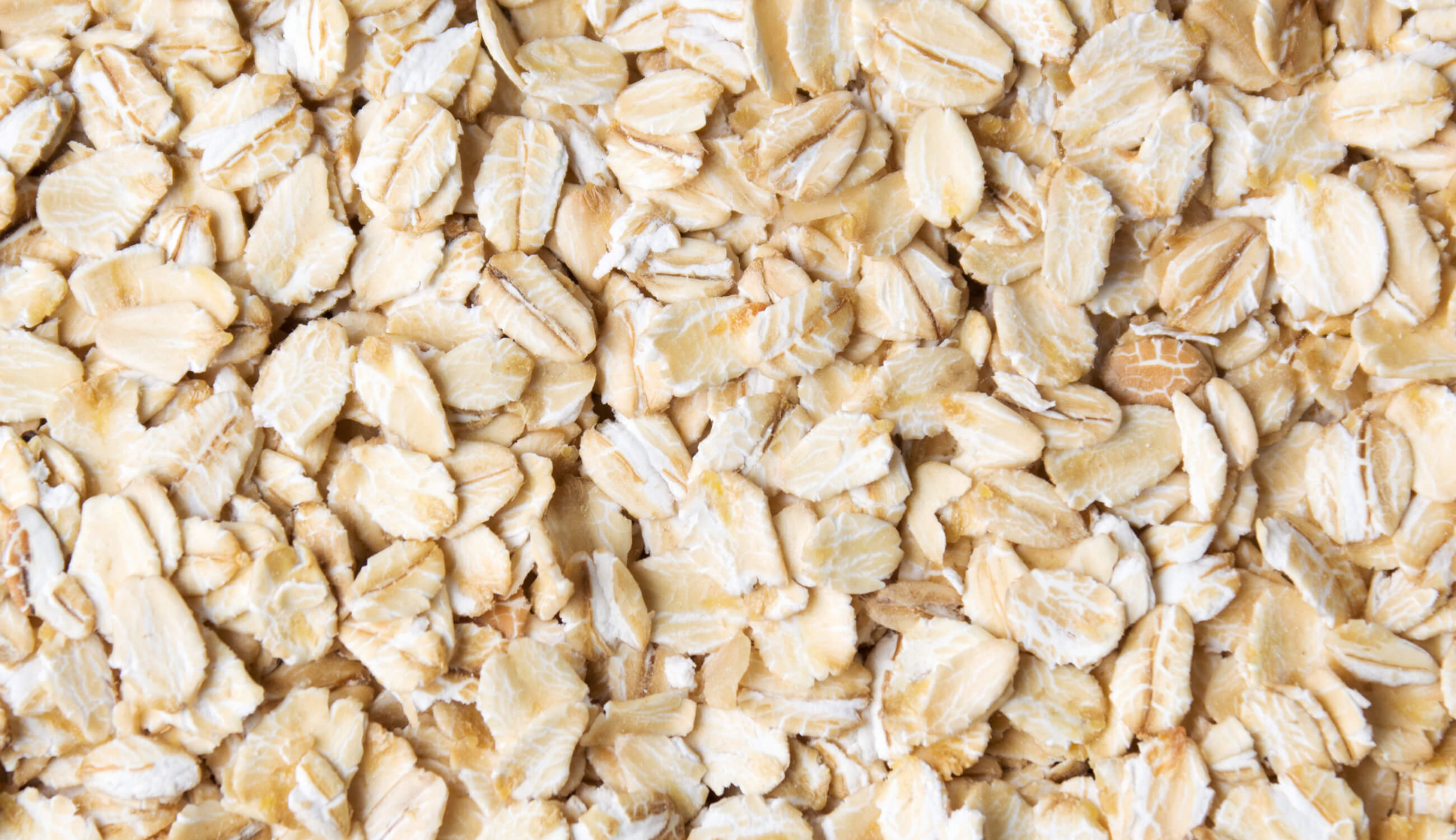 Oat meal texture