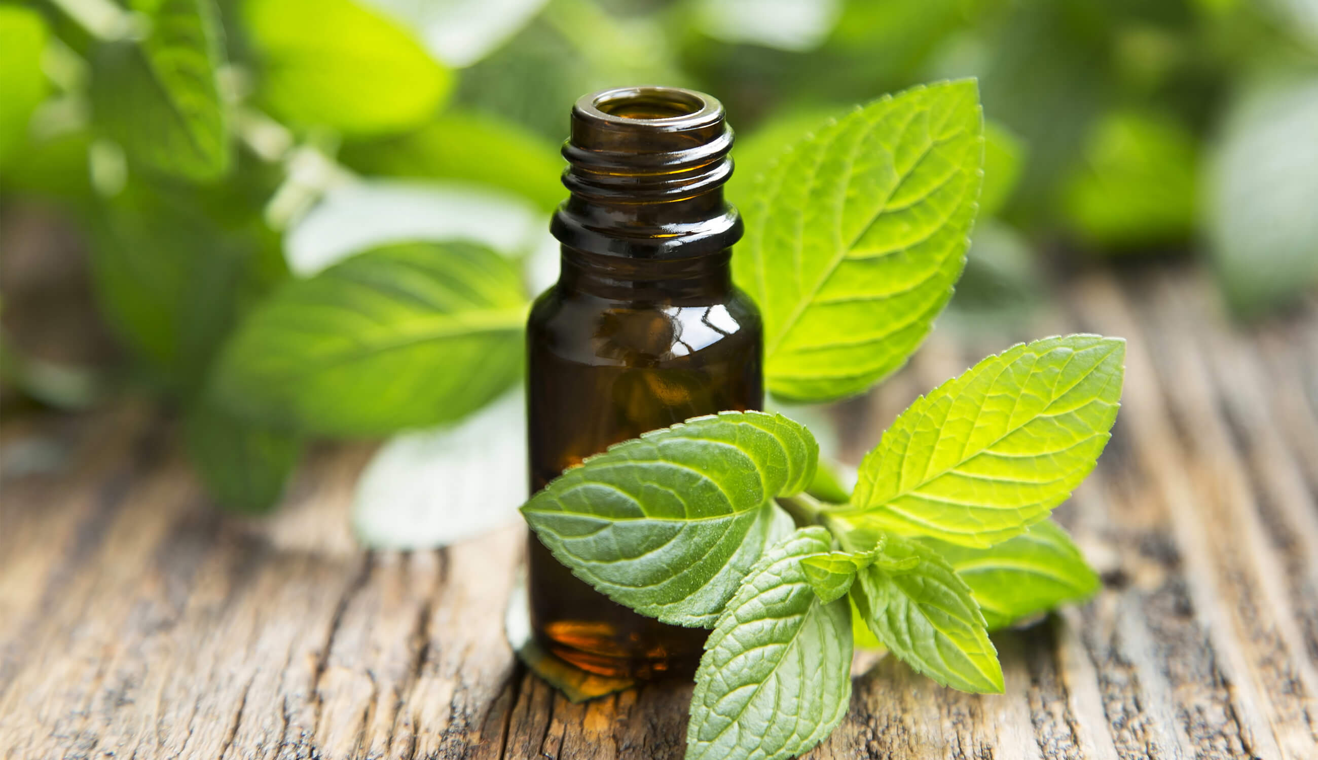 Peppermint essential oil.jpg