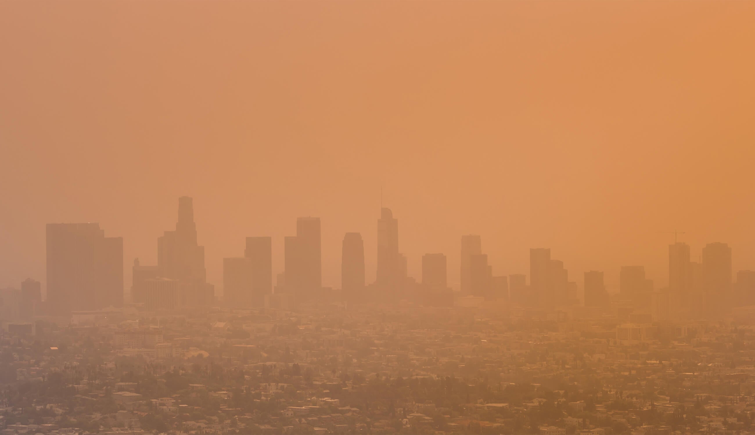 Polluted skyline.jpg