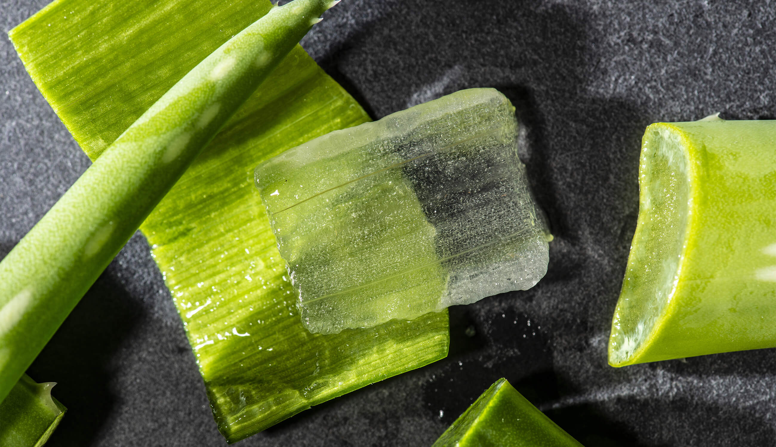 Texture Of Inside Of Aloe Vera Plant_Gel Texture.jpg