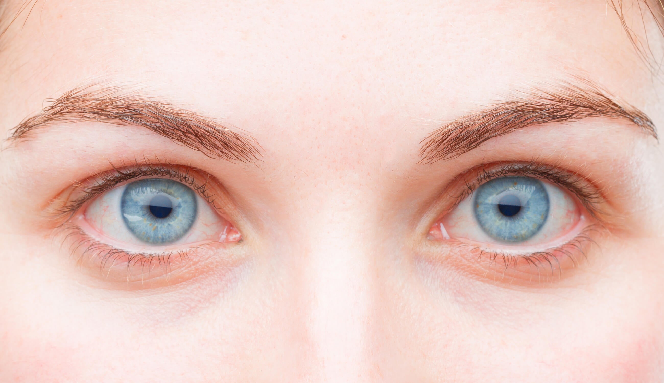 Unruly Brows